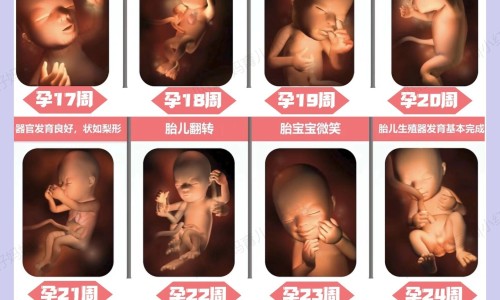 婴儿可以吃活珠子吗-宝宝能不能吃活珠子网-分享宝宝能不能吃葡萄，婴儿可以吃活珠子吗知识库