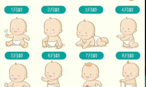 婴儿可以吃活珠子吗-宝宝能不能吃活珠子网-分享宝宝能不能吃葡萄，婴儿可以吃活珠子吗知识库